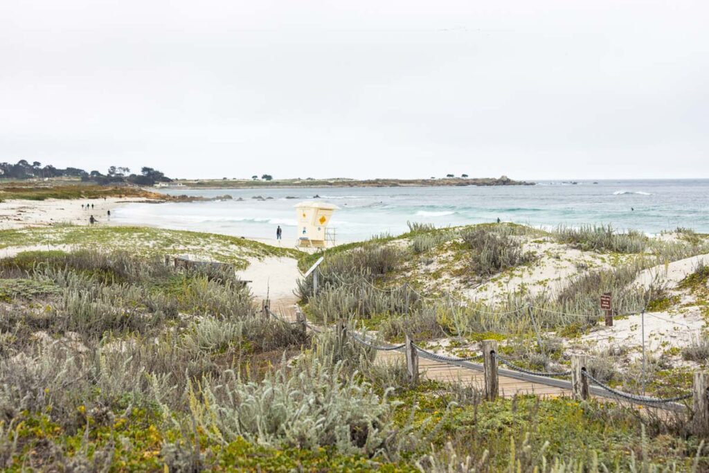 Sand dunes at Asilomar Beach things to do in Monterey
