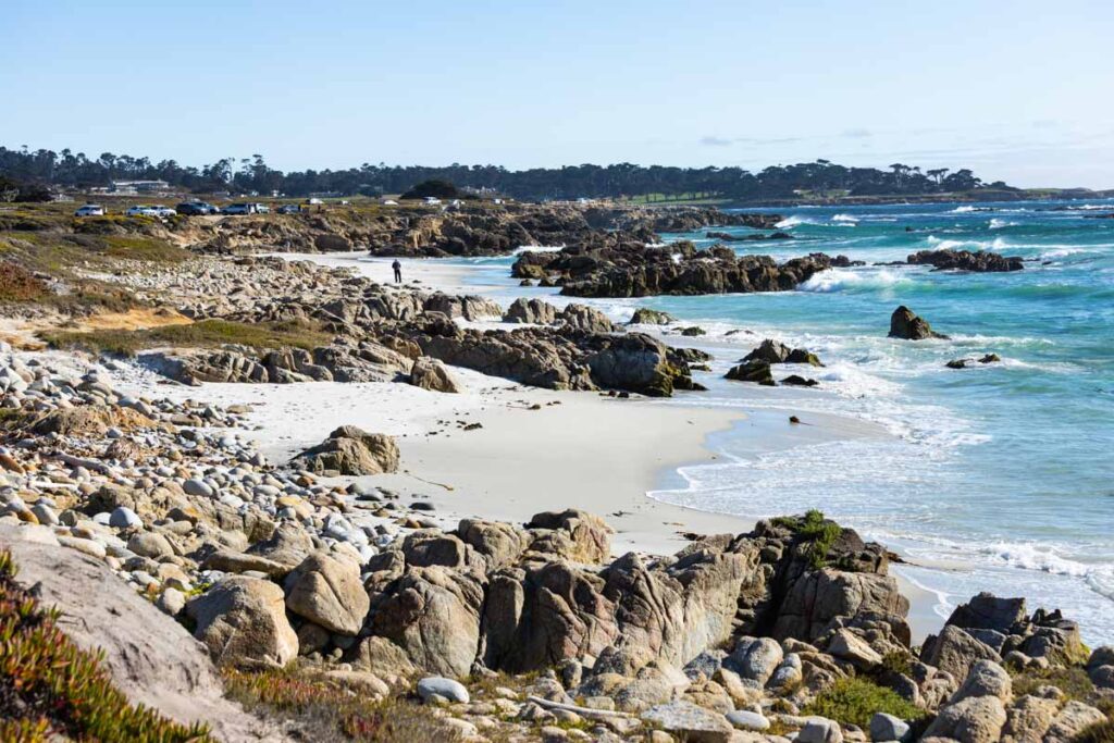 Beach on 17 Mile Drive things to do in Monterey