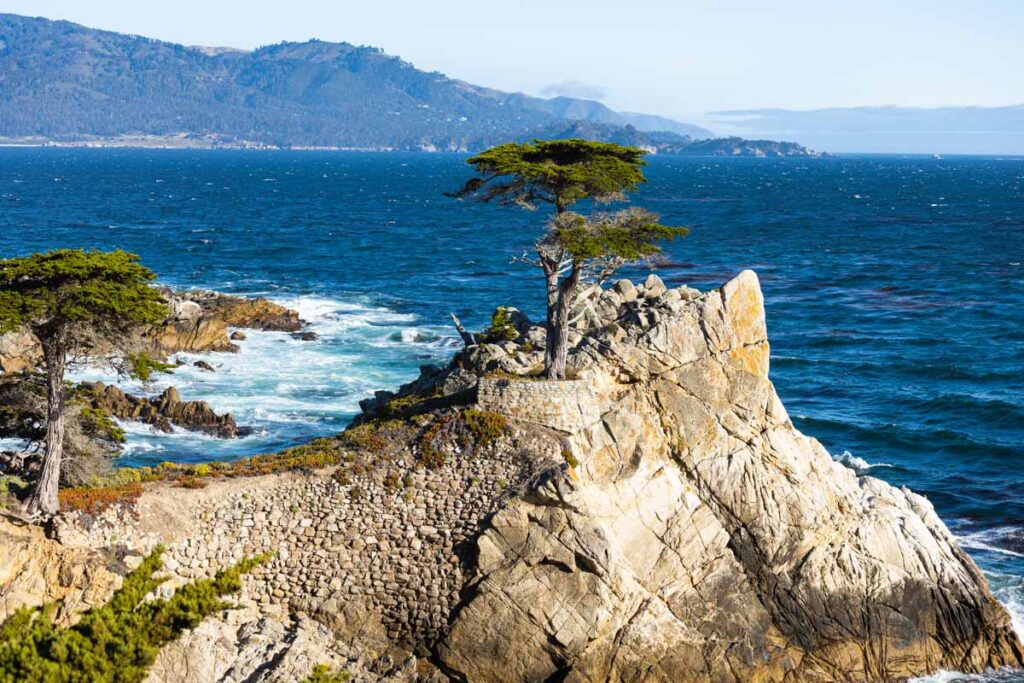Lone Cypress tree on 17-Mile Drive things to do in Monterey