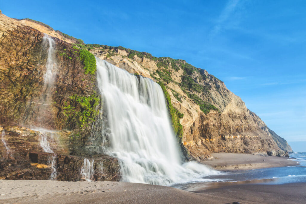 The huge Alamere Falls in Point Reyes pouring over the top of a cliff and onto the beach below in the midday sun.