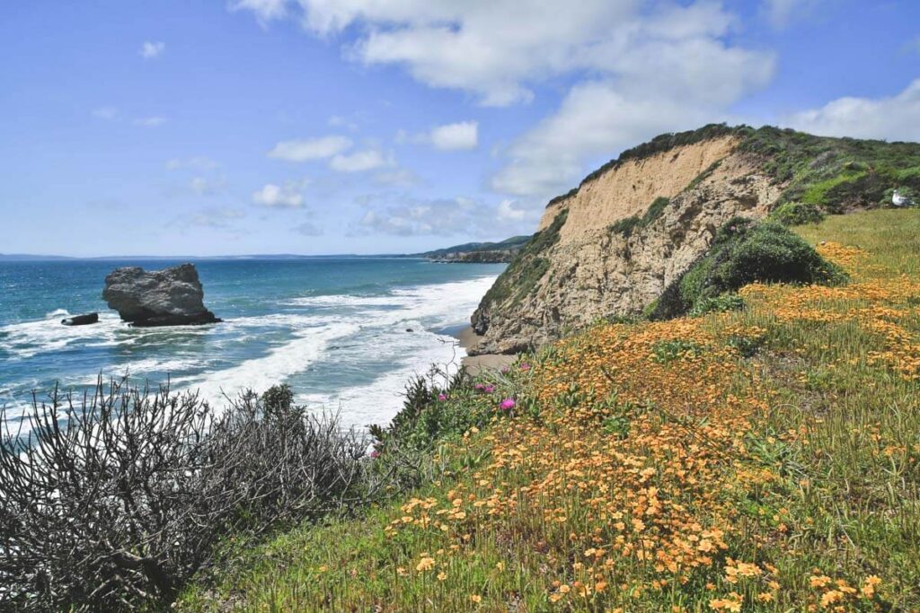 Coastal views from Bear Valley Trail best Point Reyes hikes