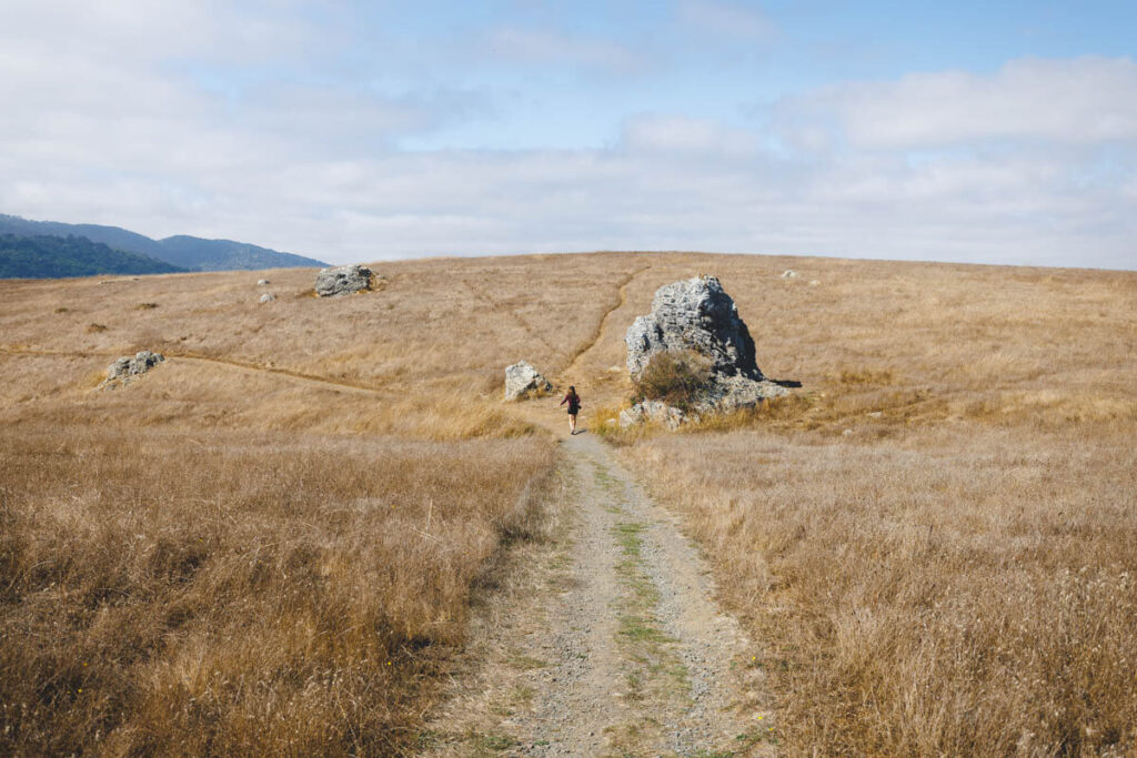 A female hiker next to a large rock along Tomales Bay Trail in a field of orange grass.