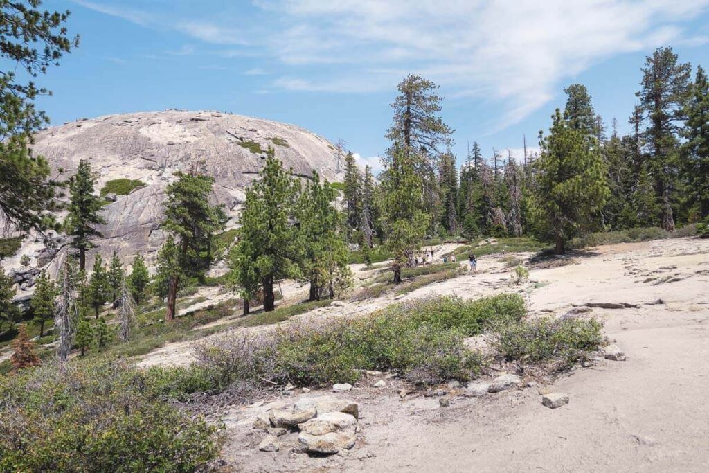 Hiking the Sentinel Dome and Taft Point Loop