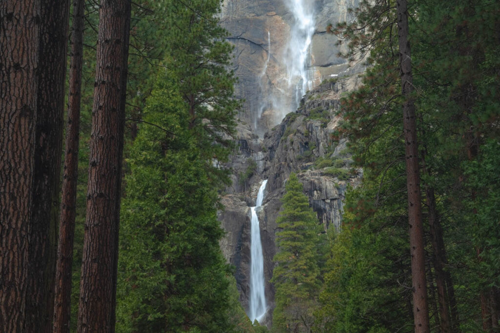 Lower Yosemite Falls through the trees one of the best things to do in Yosemite