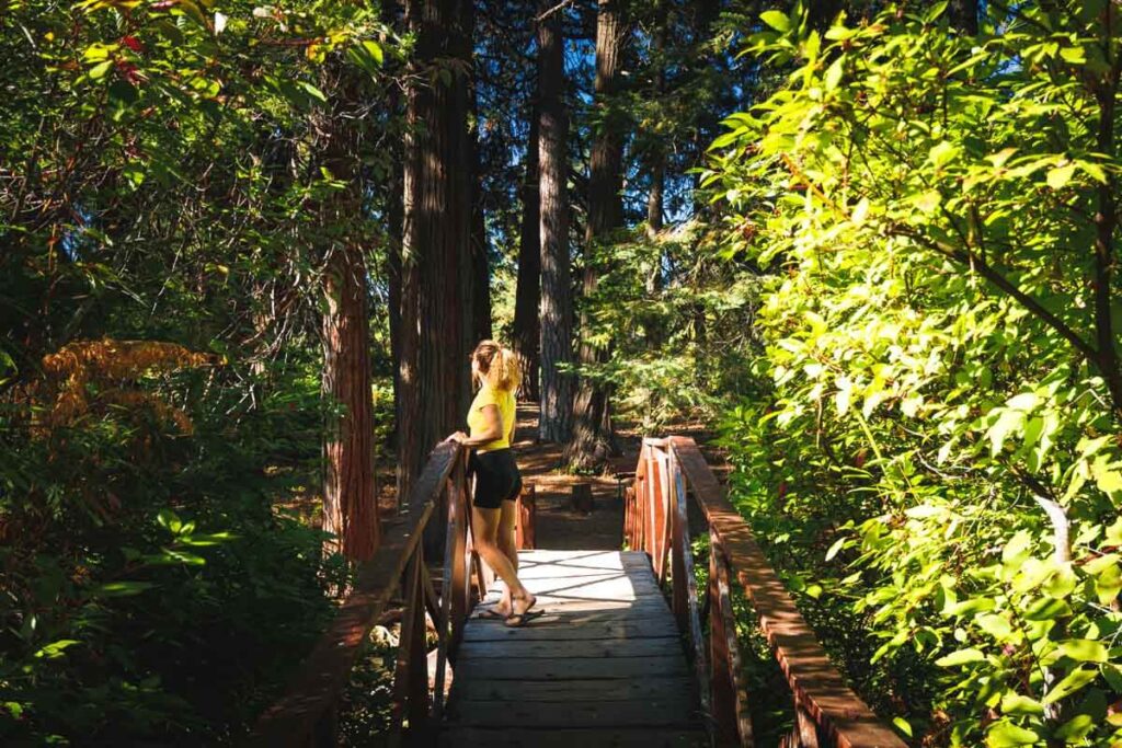 Woman on bridge in Mount Shasta City Park, one of the best things to do in Mount Shasta