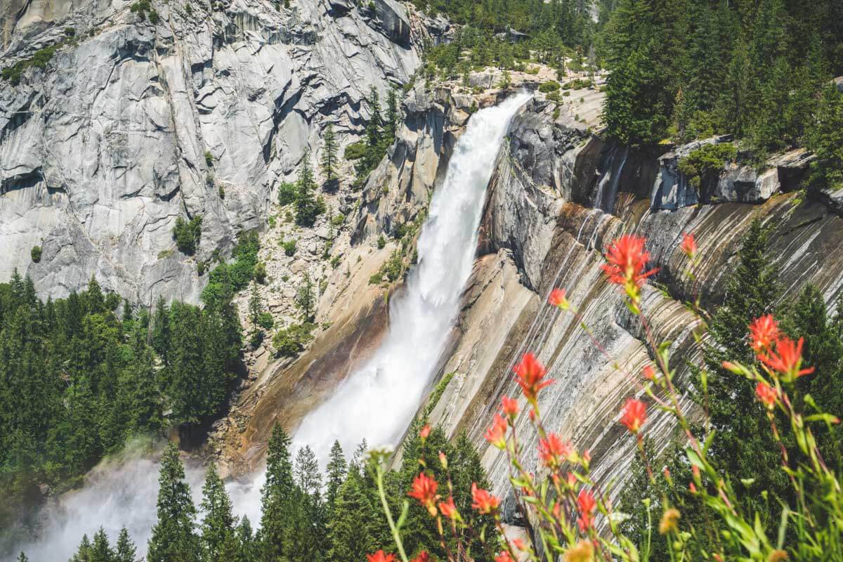 Overhead view of Nevada Falls with red wildflowers along the cliffs and trees all around.