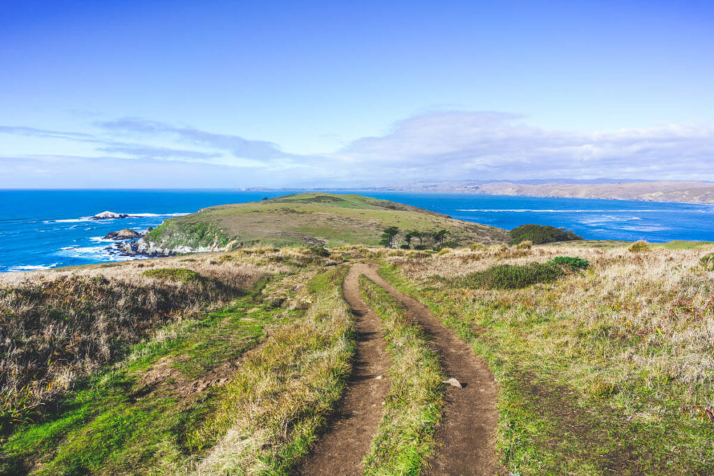 Tomales Trail towards Tomales Point for Point Reyes hikes.