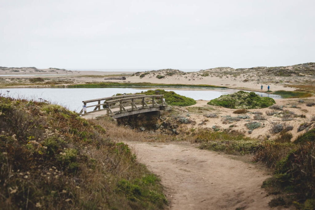 Bridge at Abbotts Lagoon one of the Point Reyes beaches