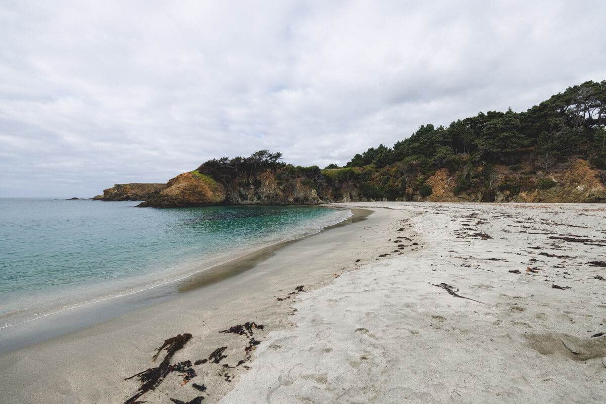 Beach at Jug Handle State Park one of the best things to do in Mendocino