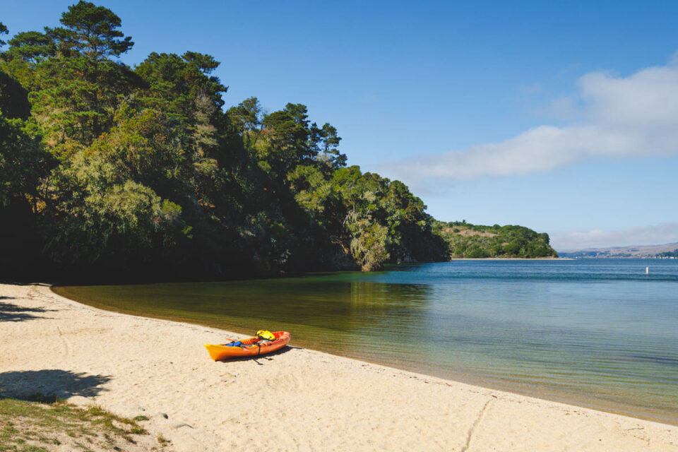 11 Stunning Beaches in Point Reyes Worth Visiting