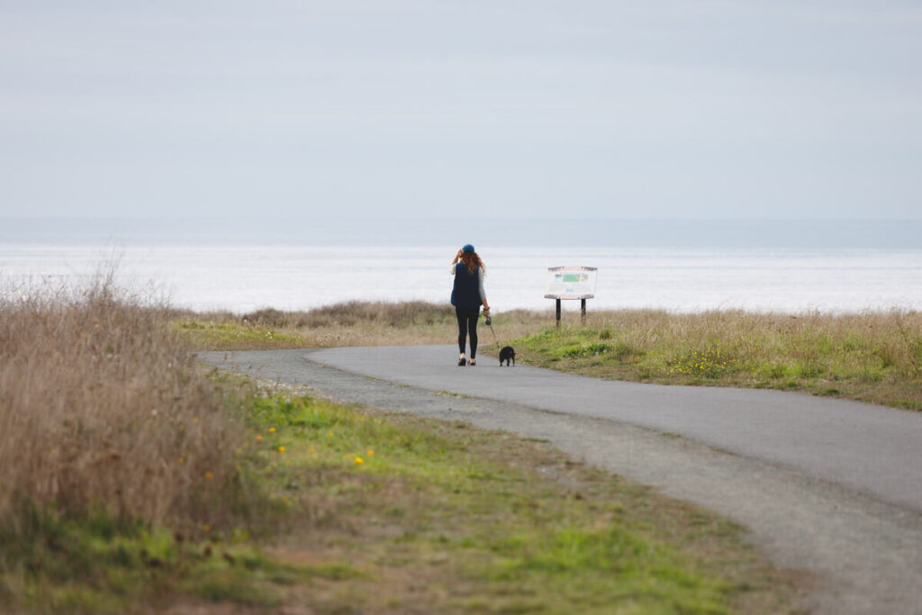 Dog walking at Noyo Headlands Park for things to do in Mendocino