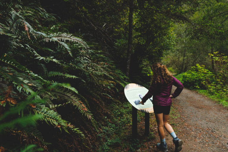 Hiker on the Fern Canyon Traill, Russian Gulch State Park, one of the best things to do in Mendocino
