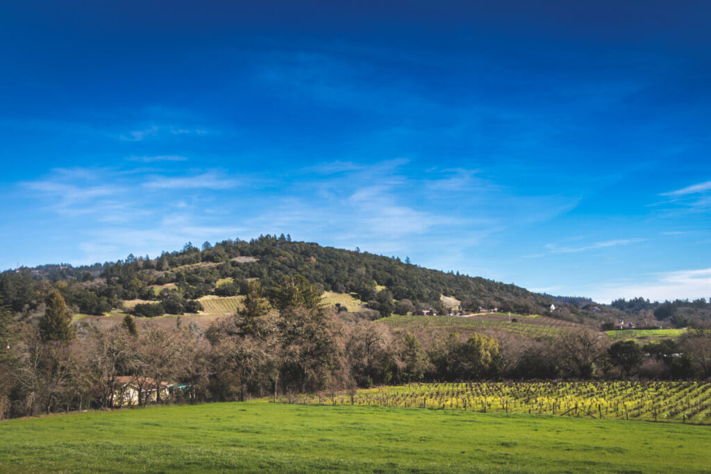 Fields at Hood Mountain Regional Park for things to do in Santa Rosa.