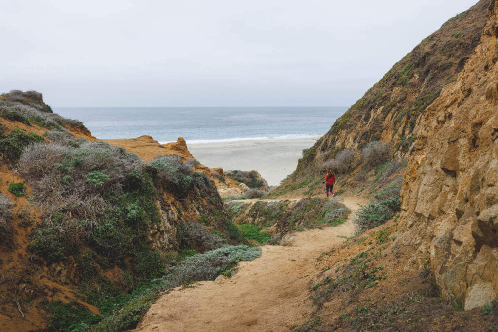 Trail to McClures Beach one of the beaches in Point Reyes