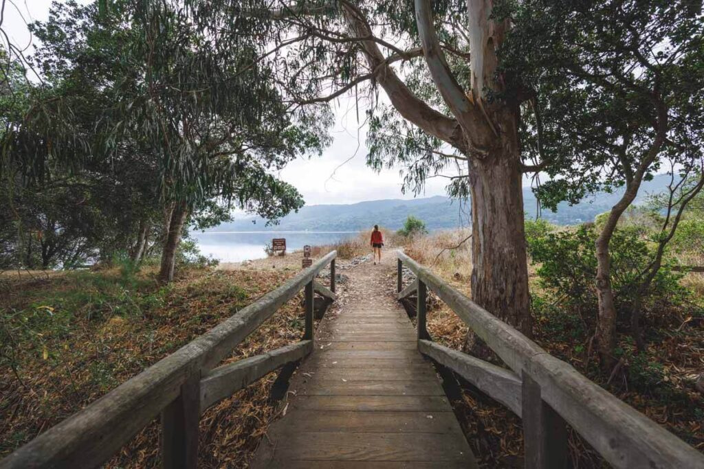 Bridge on the Millerton Point Trail near Point Reyes beaches