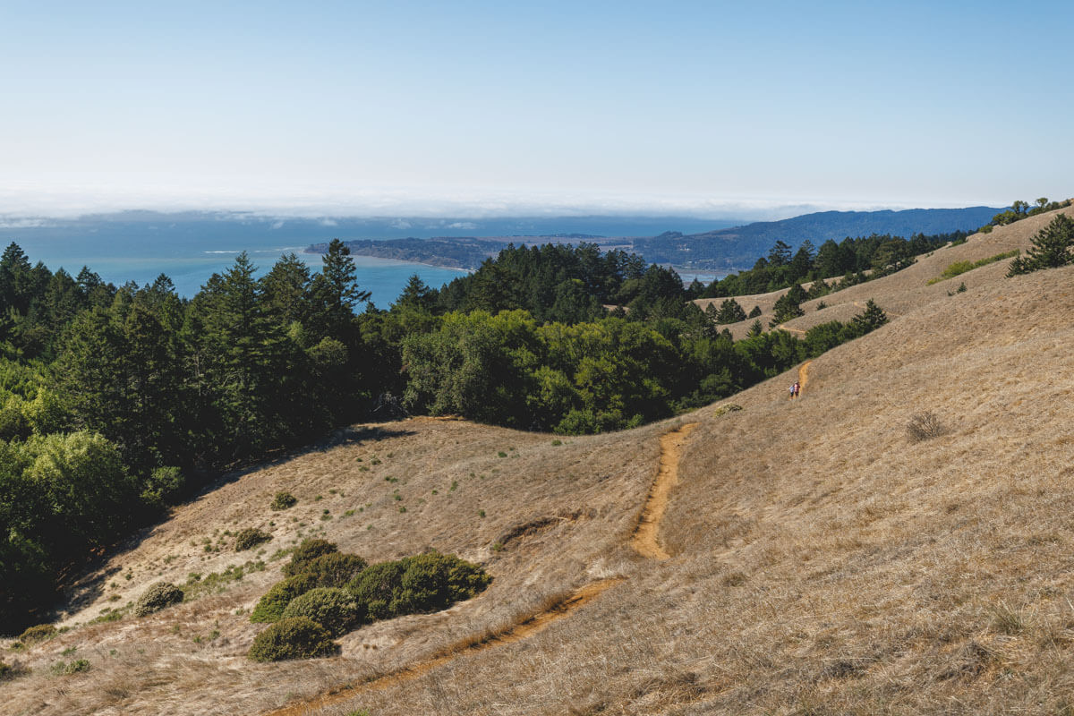 People along the Matt Davis Trail in Mount Tamalpais State Park with a view to the ocean on a sunny day.
