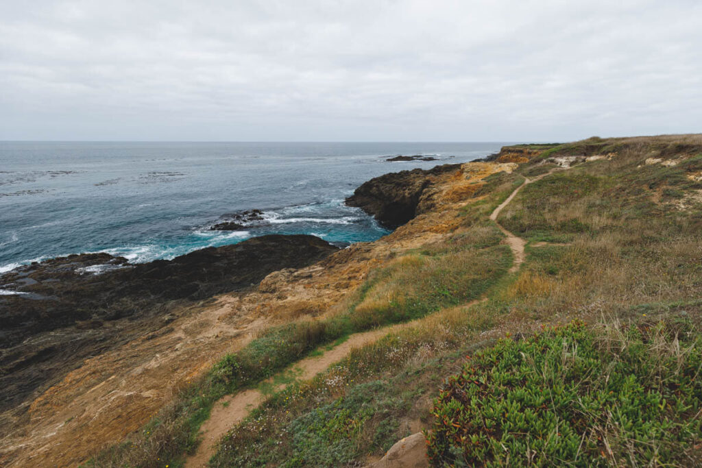 A well-worn trail running along the California coast in Mendocino Headlands state park on an overcast day.