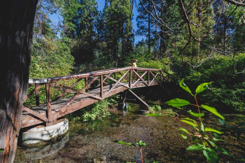 Mount Shasta City Park bridge for hikes in Mount Shasta