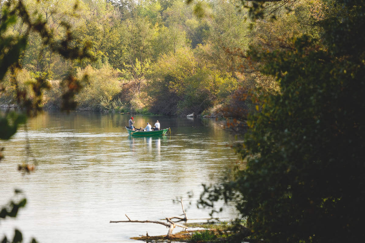 Three people on a green rowing boat heading down Anderson River between bushes and foliage.