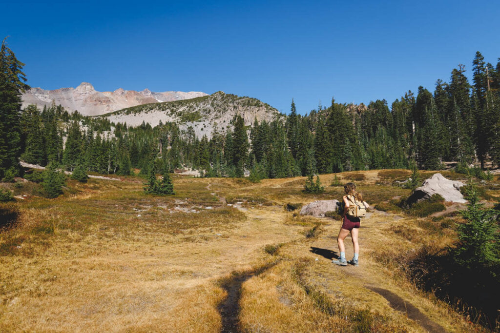 Southgate Meadows Trail one of the best hikes in Mount Shasta