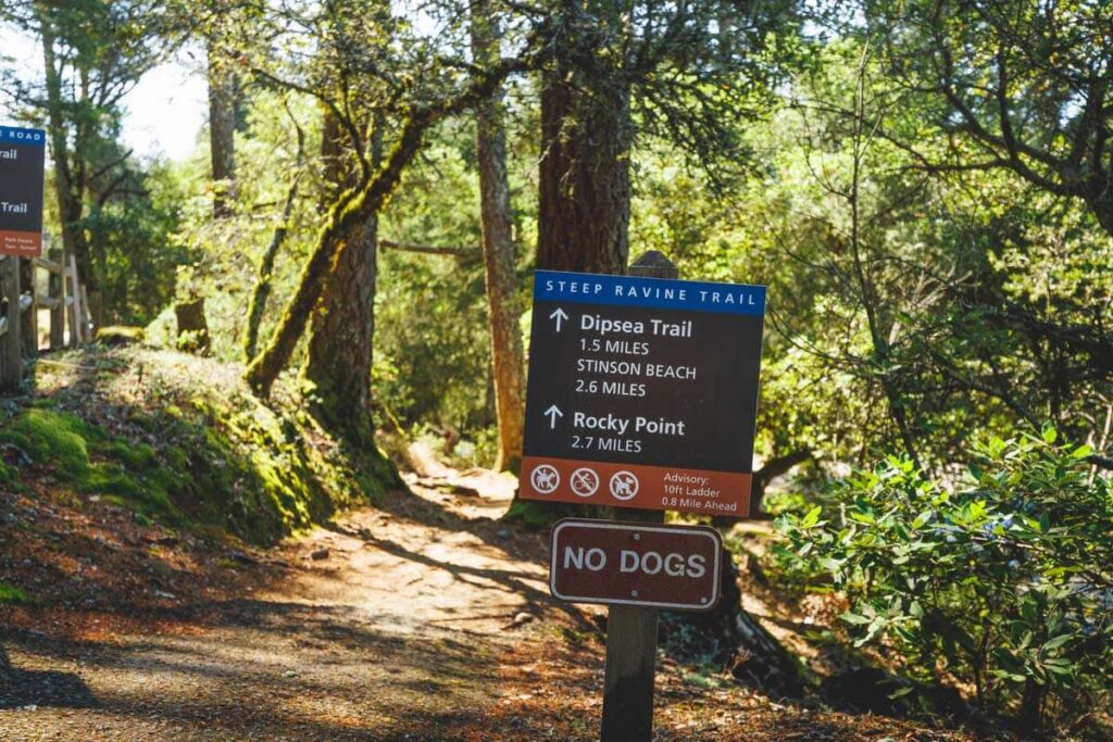 Dipsea trail sign on a trail in Muir Woods