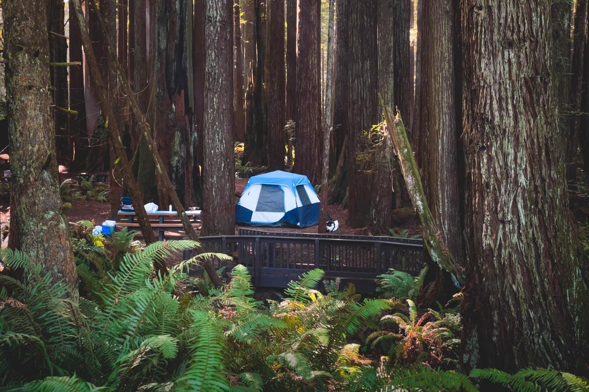 Florence Keller county park camping in Crescent City