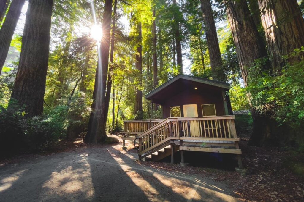 Cabin hut at Jedediah Smith Redwood State Park