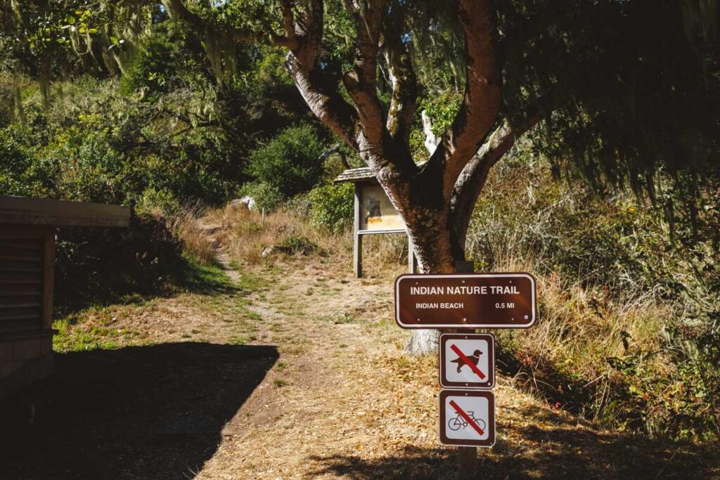 The trail sign for the Indian Nature Trail in Tomales Bay State Park.