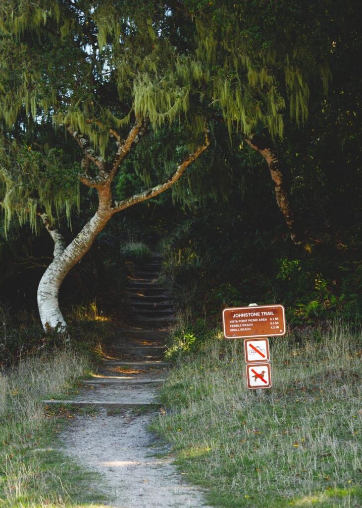 The Johnstone Trail sign in Tomales Bay State park.