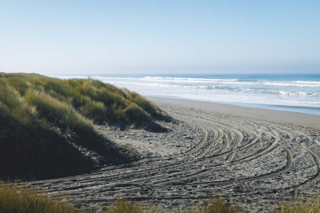 Tolowa Dune State Park in Crescent City