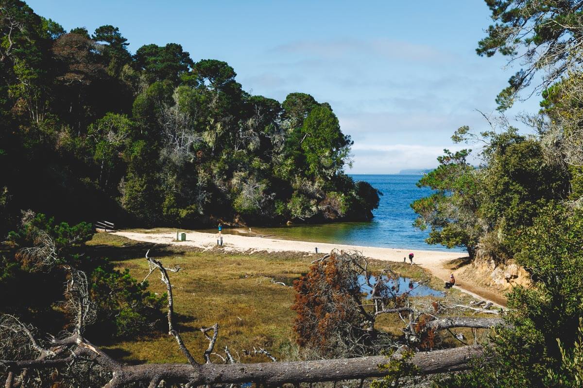 View of Shell Beach from the trail at Tomales Bay State Park