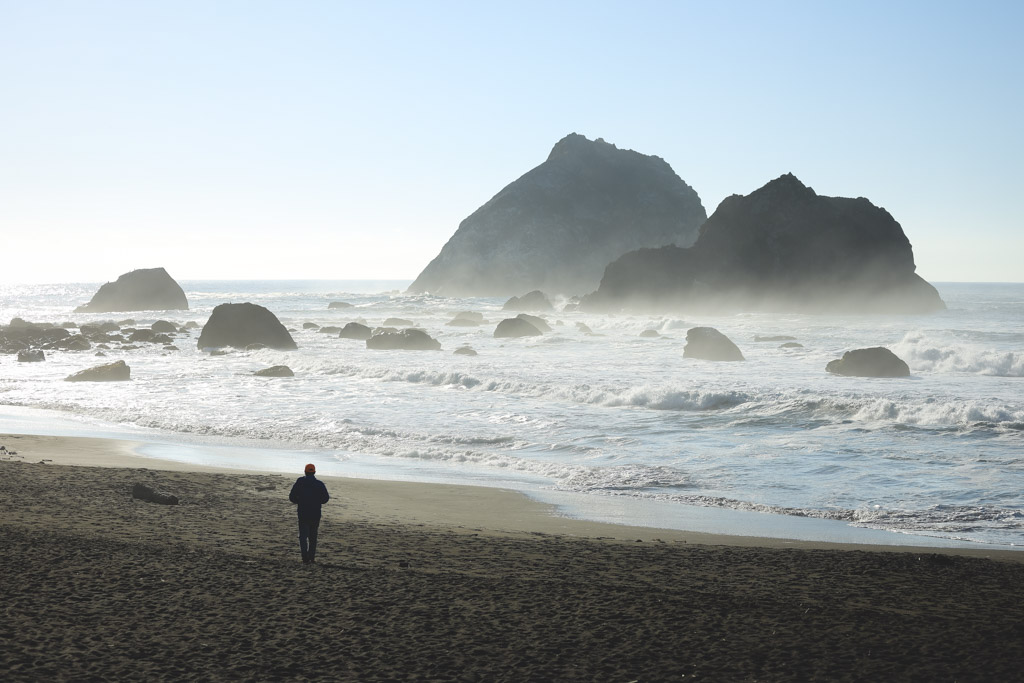 Garrett taking in the views of rock formations in the sea an Wilson Creek Beach near Crescent City.