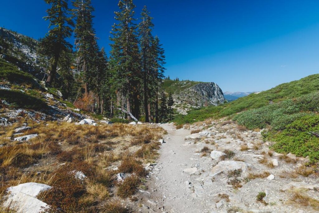 Part of the Castle Lake to Heart Lake trail.