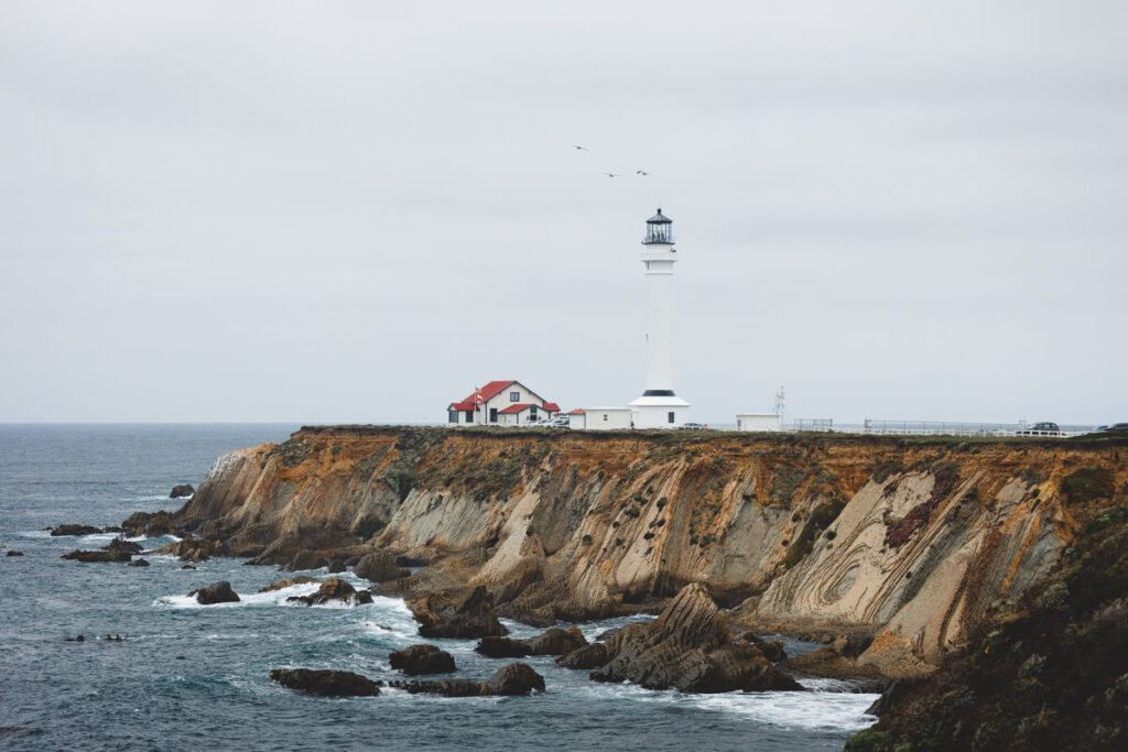 The view of Point Arena Lighthouse surrounded by seagulls.