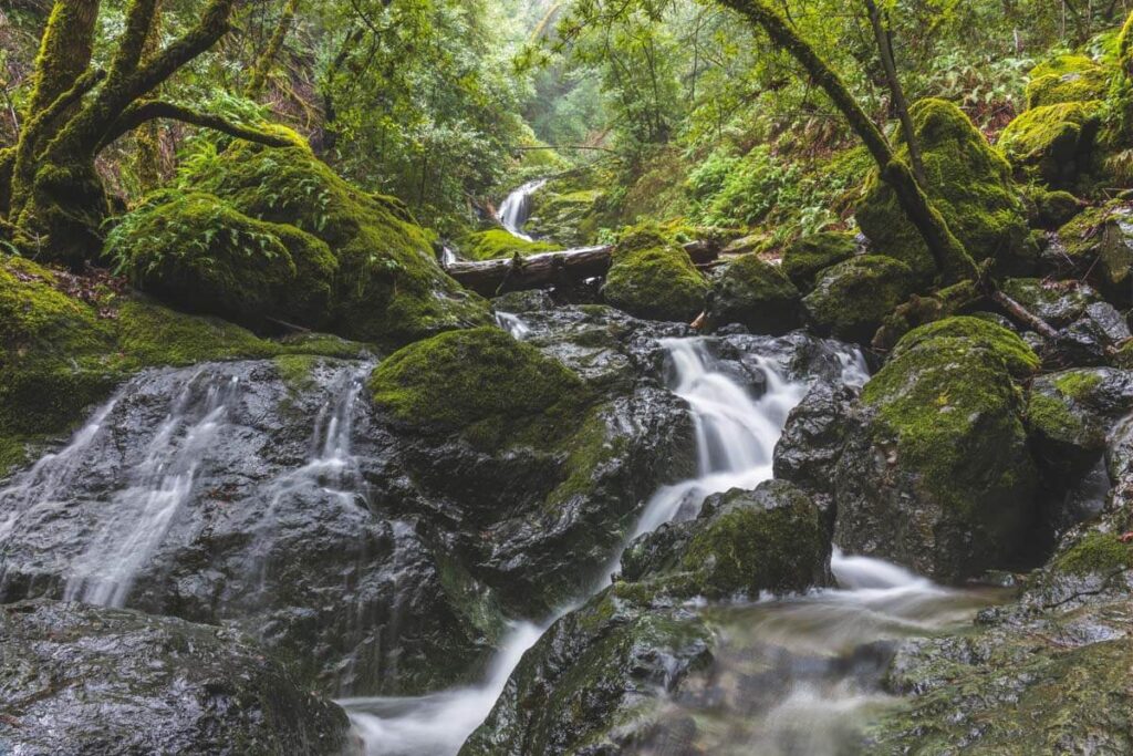 Beautiful moss covered rocks at Cataract Falls in Mount Tamalpais State Park.