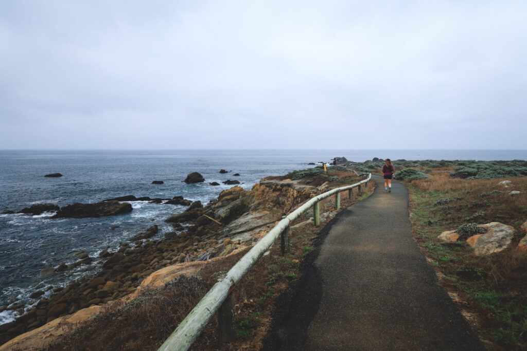 Woman hiking along the coastline in Salt Point State Park.