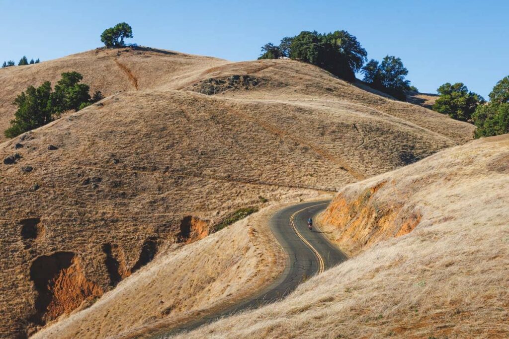 A cyclist along a curving road in Mount Tamalpais State Park.