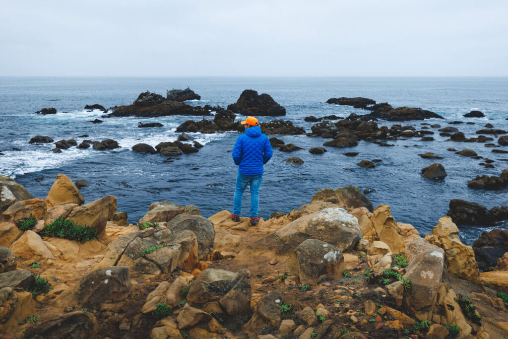 A hiker looking out over the ocean in Salt Point State Park.