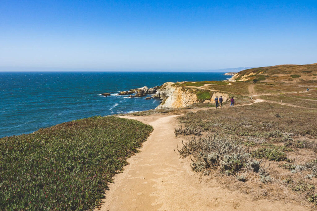 A group of hikers along Bodega Head Trail on a summers day.