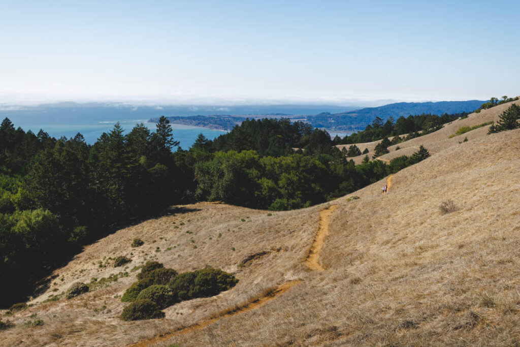 Two hikers in the distance along the Matt Davis Trail in Mount Tamalpais State Park.