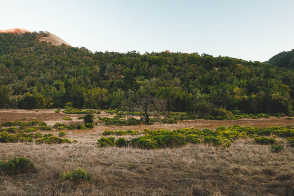 Your Guide to Sugarloaf Ridge State Park Near Santa Rosa