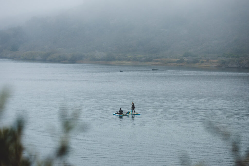 Two people paddle boarding along the Russian River on a moody and overcast day.