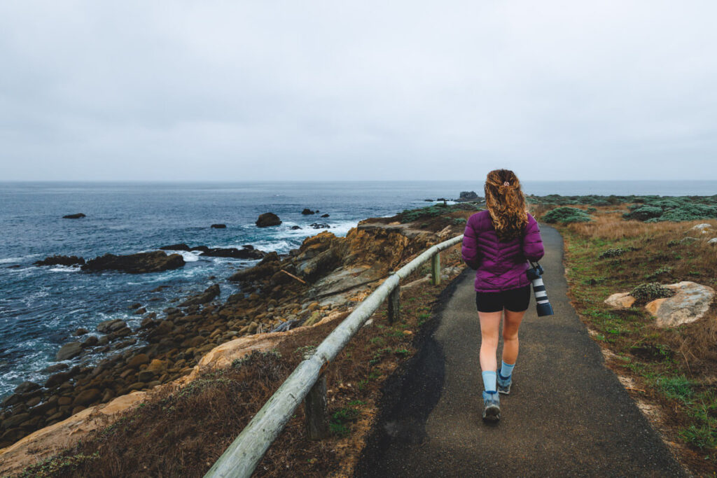 A female hiker walking along a paved coastal trail in Salt Point State Park.