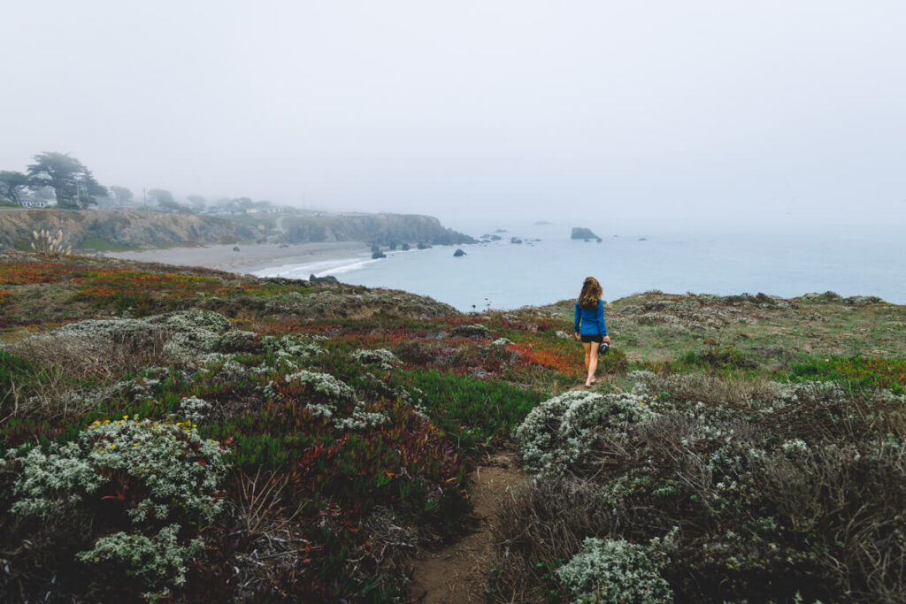 A female hiker walking along a trail through foliage overlooking a view of Sonoma Coast State Park.