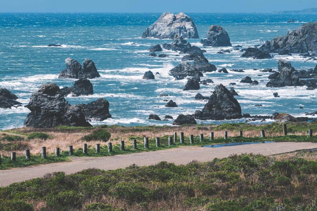 An oceanside pathway along Bodega Bay in Sonoma Coast State Park.