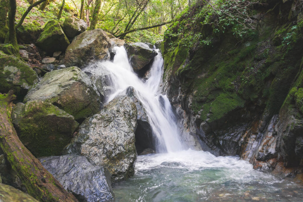 A small waterfall along Canyon Pony Gate Loop in Sugarloaf Ridge State Park.