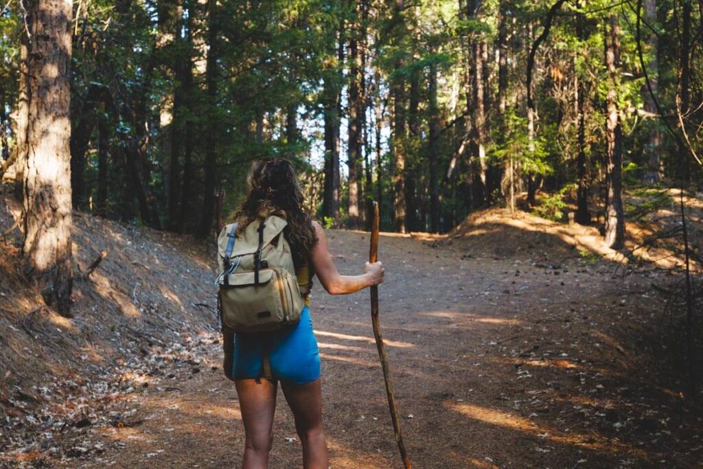 A female hiker with a backpack and holding a stick for support along Bob's Hat trail.