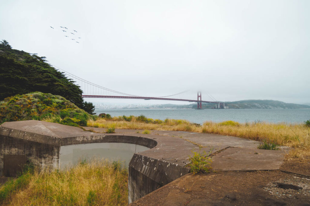 View of the Golden Gate bridge in San Francisco from a grass covered Battery Kriby while a flock of bird fly overhead.