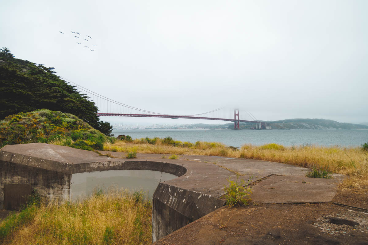 View of the Golden Gate bridge in San Francisco from a grass covered Battery Kirby while a flock of birds fly overhead.