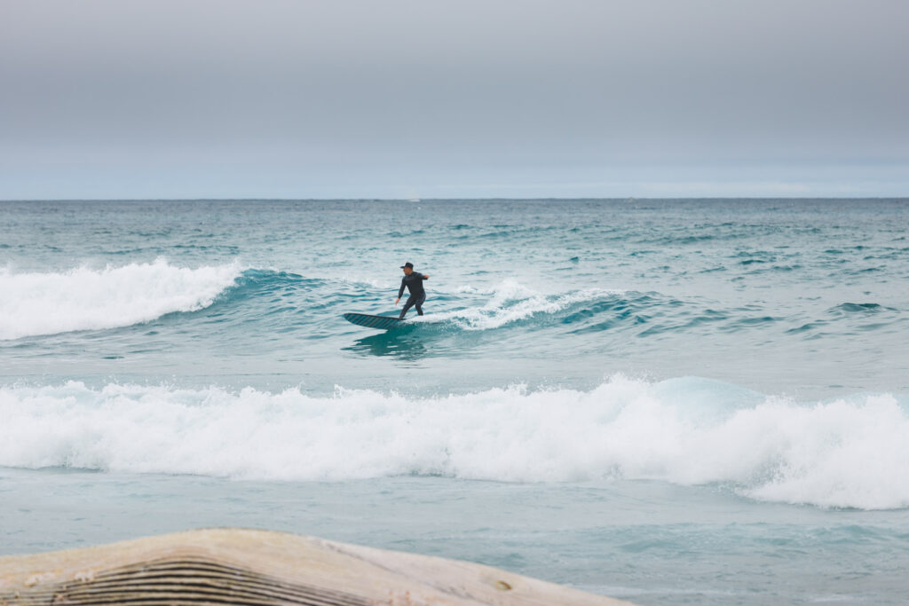 A beginner surfer standing up on the surfboard on a small wave at Asilomar Beach.